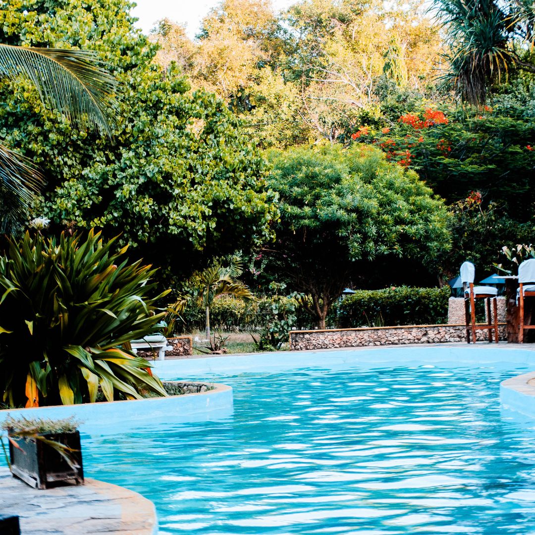 Natural swimming pools