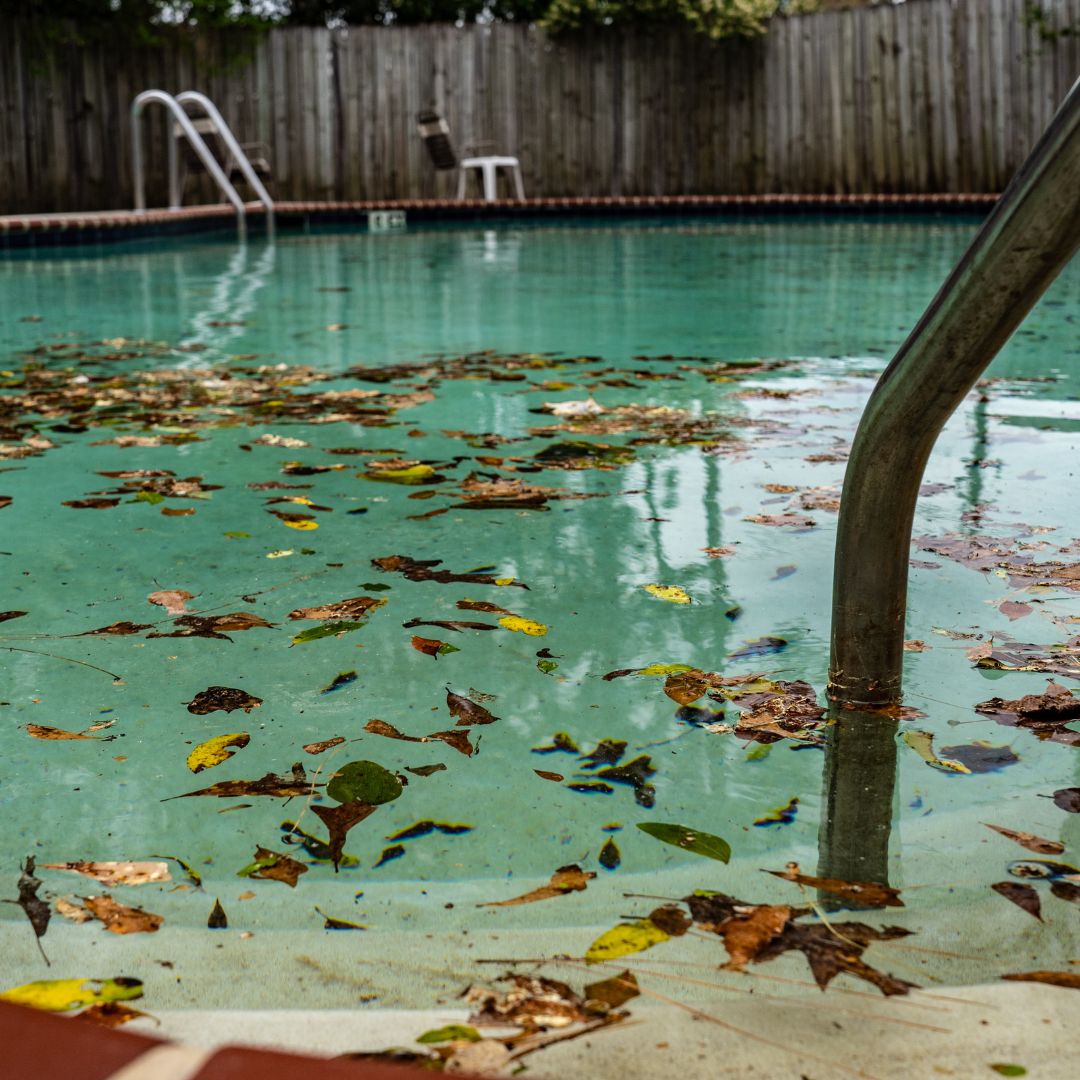 Professional Pool Maintenance Experts in Kenya